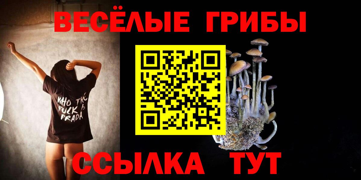 Галлюциногенные грибы GOLDEN TEACHER  Вход с VPN  Галлюциногенные грибы прущие грибы  Кизляр 